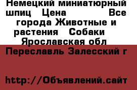 Немецкий миниатюрный шпиц › Цена ­ 60 000 - Все города Животные и растения » Собаки   . Ярославская обл.,Переславль-Залесский г.